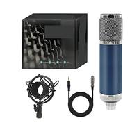 Msuiiixcccc F22 Condenser Professional Microphone Large Diaphragm Microphone for Computer/Laptop Gaming Recording Singing Podcast Living (Color : 26mm Capsule)