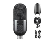 Msuiiixcccc UMic10 UMic12 Professional Studio Cardioid Condenser Karaoke Mic Computer USB Microphone For Conference Video Recording (Color : UMic12)
