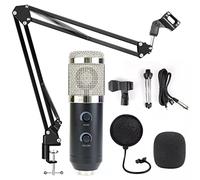 Msuiiixcccc USB BM 900 Microphone Condenser Microphone for Computer Recording Studio Recording Microphone with Stand (Color : Silver, Size : BM 900)