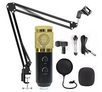 Msuiiixcccc USB BM 900 Microphone Condenser Microphone for Computer Recording Studio Recording Microphone with Stand (Color : Silver, Size : BM 900)