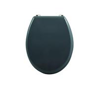 MSV - Tapa para Inodoro (MDF CLÉO, Color Gris Antracita, bisagras de Acero Inoxidable)