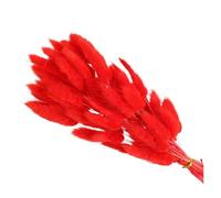 MSWgjYRQ Decoración de plantas falsas, 100 piezas de flores secas reales para decoración del hogar, ramo colorido de Lagurus Ovatus para boda, arreglo floral (rojo)