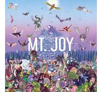Mt. Joy Rearrange Us (Vinyl) 12" Album