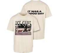 MT X Artist Camiseta Ice Cube It's a Good Day Oversize Tee S