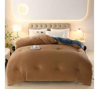 MTHGH Edredón de Terciopelo de Leche, edredón Grueso de Invierno, Manta Muy cálida y súper Suave para 2 Personas, edredón de Microfibra, edredón Acolchado Reversible(05,220 * 240cm/5kg)