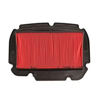 Mthxzy Elemento limpiador de filtro de aire for motocicleta CBR250 NC22 | MC22 1990--1998 CBR250RR CBR22 Accesorios for motocicletas