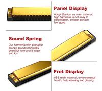 Mtlavishy armónica Professional Armonica Armónica amigable con el medio ambiente Panel de material de resina sin abdominales crujiente y ruidoso para blues folk jazz pop música (Gold)