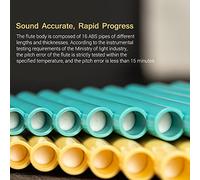 MtlaVishy Título 18 Pipa Flauta Flauta China Instrumento de viento de madera tradicional Ideal para amantes de la música e intérpretes estrictamente probados sintonizado (Yellow)