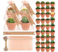 MTLEE 36 velas suculentas decorativas de cactus, velas de té, hechas a mano, decoración de baby shower, plantas con mini soportes de arcilla de terracota para decoración de bodas, hogar, fiestas