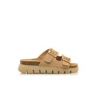 MTNG Sandalias Planas Mujer Lion 54160 | 60337 | Suede Arena 251