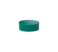 MTS Magnete - Juego de 10 imanes redondos (plástico irrompible, fuerza de sujeción de 2, 5 kg, 38 x 15, 5 mm), color verde