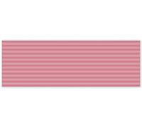 mubusi Alfombra Vinílica Cocina Salón - Varios Tamaños - (Líneas Rosa 80x240 cm)