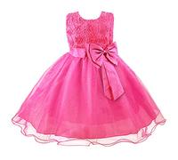 Muchachas de Flor de Boda Formal de Ropa de Dama de Fiesta de Bautismo de la Princesa del Vestido de los ni?os de 2-12 a?os