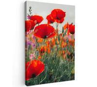 MuchoWow© Cuadros Decoracion Salon Modernos 20x30 cm Lienzos de Fotos Pared Wall Art Lienzo Decoração Cuadro de salones Amapola - con Flores - Rojo - Violeta - Pradera