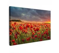 MuchoWow© Cuadros Decoracion Salon Modernos 30x20 cm Lienzos de Fotos Pared Wall Art Lienzo Decoração Cuadro de salones Atardecer - Amapolas - Rojo - Flores - Campo - Naturaleza