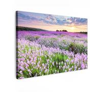 MuchoWow© Cuadros Decorativos Modernos para Sala 120x80 cm Lienzos Decoracion Pared Salon Quadros Decoração Dormitorios Flores - Lavanda - Púrpura - Cielo - Atardecer - Pradera - Naturaleza