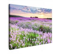 MuchoWow© Cuadros Decorativos Modernos para Sala 70x50 cm Lienzos Decoracion Pared Salon Quadros Decoração Dormitorios Flores - Lavanda - Púrpura - Cielo - Atardecer - Pradera - Naturaleza