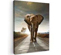 MuchoWow© Cuadros para Salon 50x70 cm Foto con Lienzo Canvas Laminas Cuadro Dormitorio Decoracion Hogar Pared Quadro Elefante - Carretera - Animales - amanecer - Paisaje