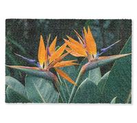 MuchoWow© Felpudo 40x60 cm Graciosos Divertidos Divertido Entrada Casa Tapete Goma Original Amazon Alfombra de Alfombrillas Interior Exterior Ave del paraíso - Flor - Exótico