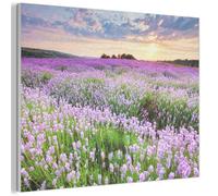 MuchoWow© Fieltros Ornamentales Sala Modernidad 70x50 cm Para Cuarto Principal Elemento Pared Matrimonio Wall Art Flores - Lavanda - Púrpura - Cielo - Atardecer - Prado - Naturaleza