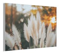 MuchoWow© Fieltros Ornamentales Sala Modernidad 90x60 cm Para Cuarto Principal Elemento Pared Matrimonio Wall Art Hierba de la Pampa - Plumas - Ornamental