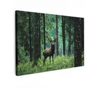 MuchoWow© Quadros Decoração Sala 90x60 cm Cuadros Decoracion Dormitorios Lienzos Decorativos para Dormitorios Modernos Ciervo - Bosque - Árboles - Animales - Naturaleza