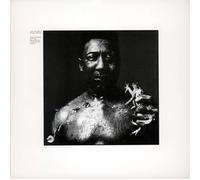Muddy Waters - After the Rain