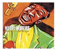 Muddy Waters – Screamin' And Cryin' The Blues – CD – Importación USA