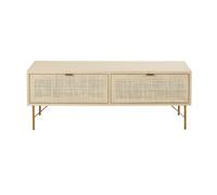 Mueble de TV con 2 puertas de enrejado de mimbre 120 cm