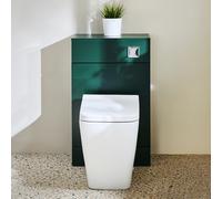 Mueble para WC - Moderno - Color Verde Oscuro de 500mm Completo con Inodoro Elswick - con Placa de Accionamiento Cromada - Cluo