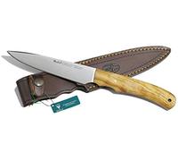 Muela Cuchillo CRIOLLO-17.OL hoja de acero MoVa de 17 cm y empuñadura de madera de olivo para Caza, Pesca, Supervivencia y Bushcraft Realizado en Ciudad Real + Portabotellas de regalo