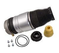 Muelle de Aire Neumática Fuelle Eje Delantero Izquierdo for VW Touareg Audi Q7