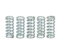 Muelle de embrague FERODO FSS0206