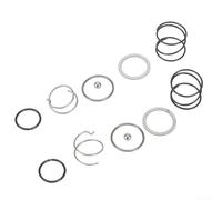 Muelle de repuesto y bola de acero para soporte de brocas de destornillador de impacto compatible con DCF885 DCF886 modelos N078434 N089668, paquete de 2 unidades, metal elástico duradero