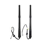 Muelle Neumático Maletero 1 Par Para Lexus RX350 RX450h 2016 2017 2018 2019 Soportes Elevación Portón Trasero Eléctricos 68910-48071 68920-48031