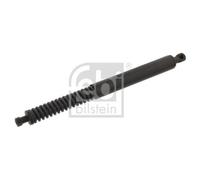 FEBI BILSTEIN Muelle neumático para PEUGEOT: 307 (Ref: 34419)