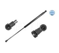 Muelle Neumático Maletero/compartimento De Carga Meyle 16409100058 para Renault
