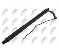 Muelle neumático, maletero/compartimento de carga NTY AE-BM-114