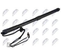 NTY Muelle de Gas Amortiguador Portón Ambos Lados para Renault Espace V Jr _ 1.6