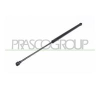 Muelle Neumático Maletero/compartimento De Carga Prasco AD0169055 para Audi