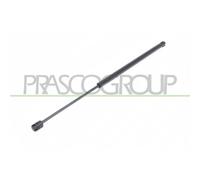 PRASCO Gasfeder, Koffer-/Laderaum FD3509055