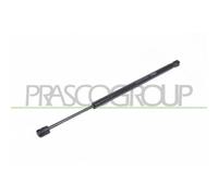 PRASCO Gasfeder, Koffer-/Laderaum FD4229053