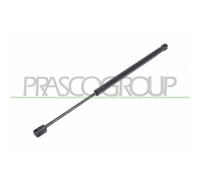 Muelle Neumático Maletero/compartimento De Carga Prasco FT3409065 para Fiat