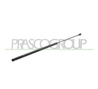 PRASCO FT9079055 Amortiguador de maletero