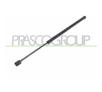 Muelle Neumático Maletero/compartimento De Carga Prasco RN0349055 para Renault