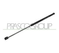 Muelle Neumático Maletero/compartimento De Carga Prasco VG0239055 para VW