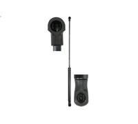 Muelle neumático, maletero/compartimento de carga STABILUS para C4 I 2 2004-