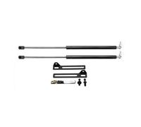 Muelle Neumático Para Nissan Para QASHQAI Para J11 Para X-TRAIL T32 2014-2018 Soportes Elevación Capó Delantero Puntales Brazo Varilla Resortes Amortiguadores Puntal Gas