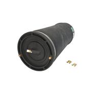 Arnott Bolsa de aire suspensión neumática posterior A-2202 para Land Rover Discovery II 1998-2004