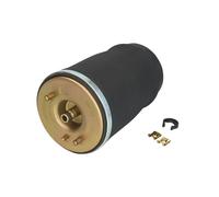 Muelle neumático, suspensión ARNOTT EUROPE A-2503